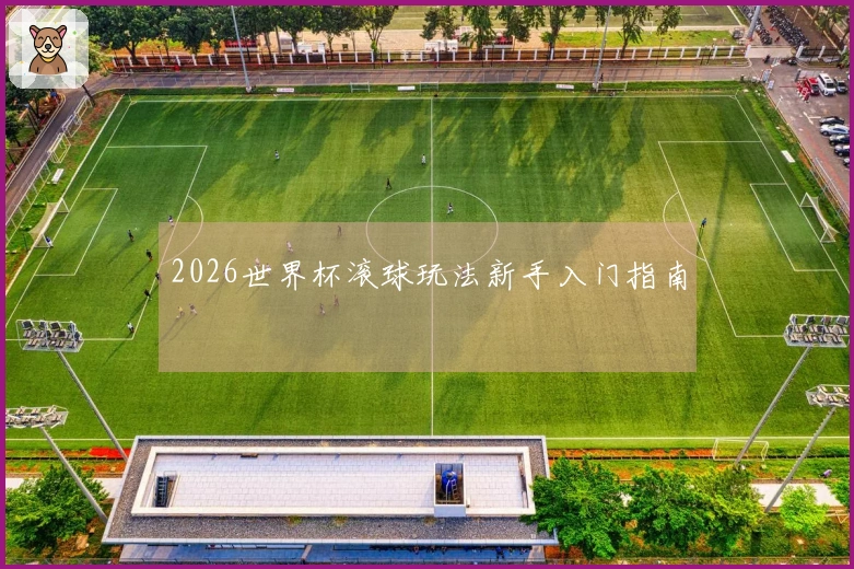 2026世界杯滚球玩法新手入门指南