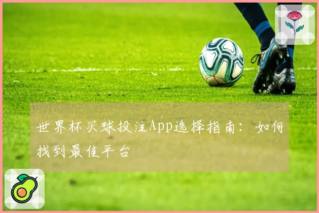 世界杯买球投注App选择指南：如何找到最佳平台