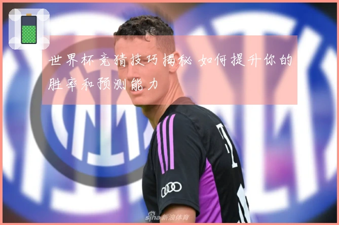 世界杯竞猜技巧揭秘 如何提升你的胜率和预测能力